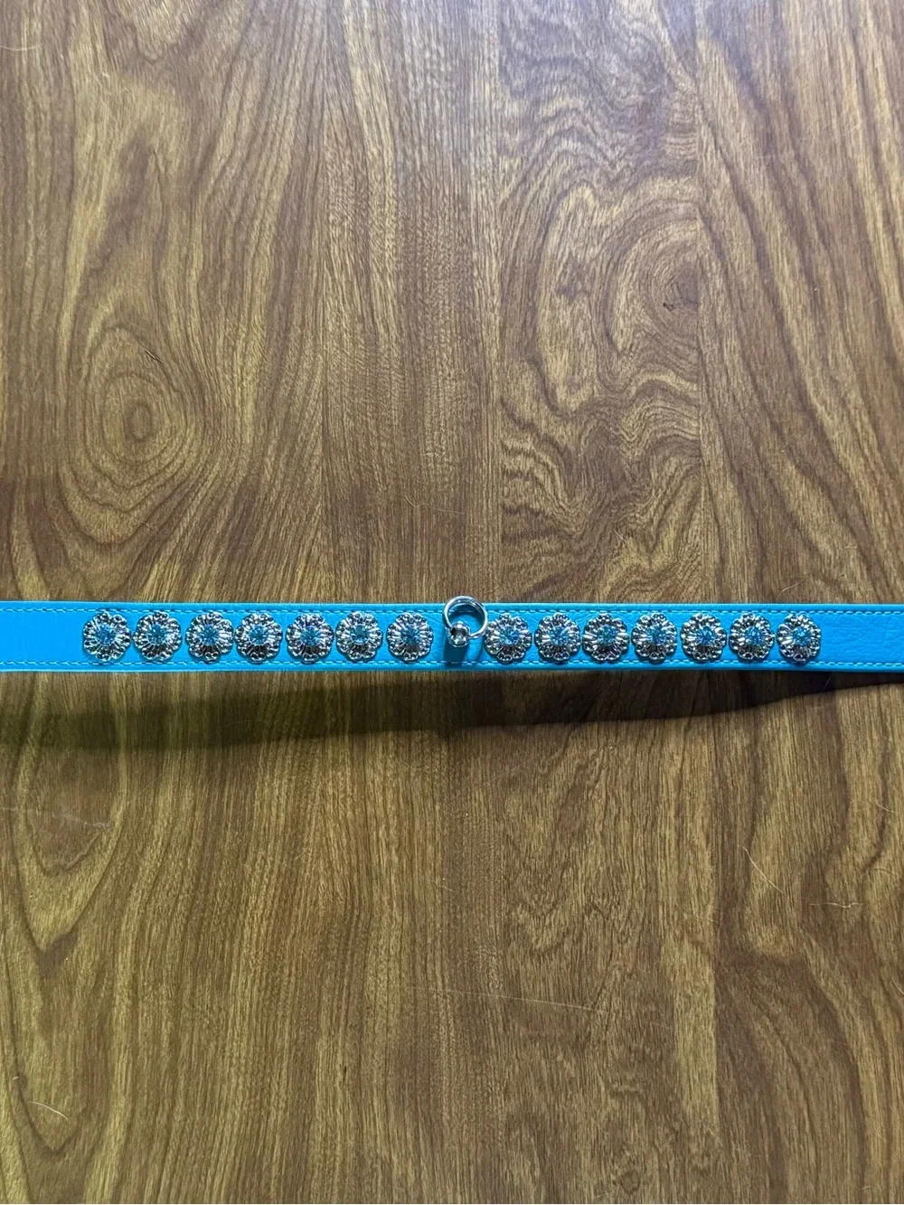 Teal Dog Collar - Size Medium
